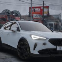 Cupra Formentor VZ 310 | Debadged
