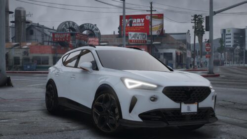 Cupra Formentor VZ 310 | Debadged