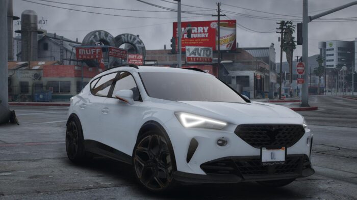 Cupra Formentor VZ 310 | Debadged
