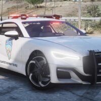 Enus Paragon S Custom Police | Tuning | Template