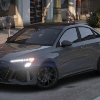 Audi RS3 Performance 2023 | Debadged