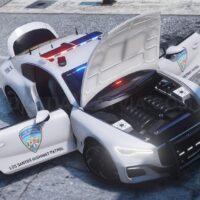 Enus Paragon S Custom Police | Tuning | Template