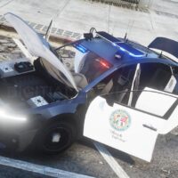 Annis Minimus Police | Tuning | Template