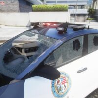 Annis Minimus Police | Tuning | Template