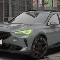 Cupra Formentor VZ 310 | Debadged