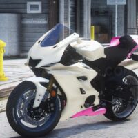 Yamaha YZF-R6 Race | Debadged | Custom Sound | Tuning
