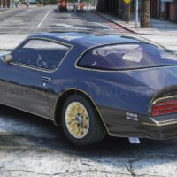Pontiac Firebird Trans Am Y82 1977 | Debadged