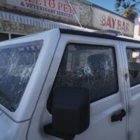 Canis Terminus Police | Tuning | Template